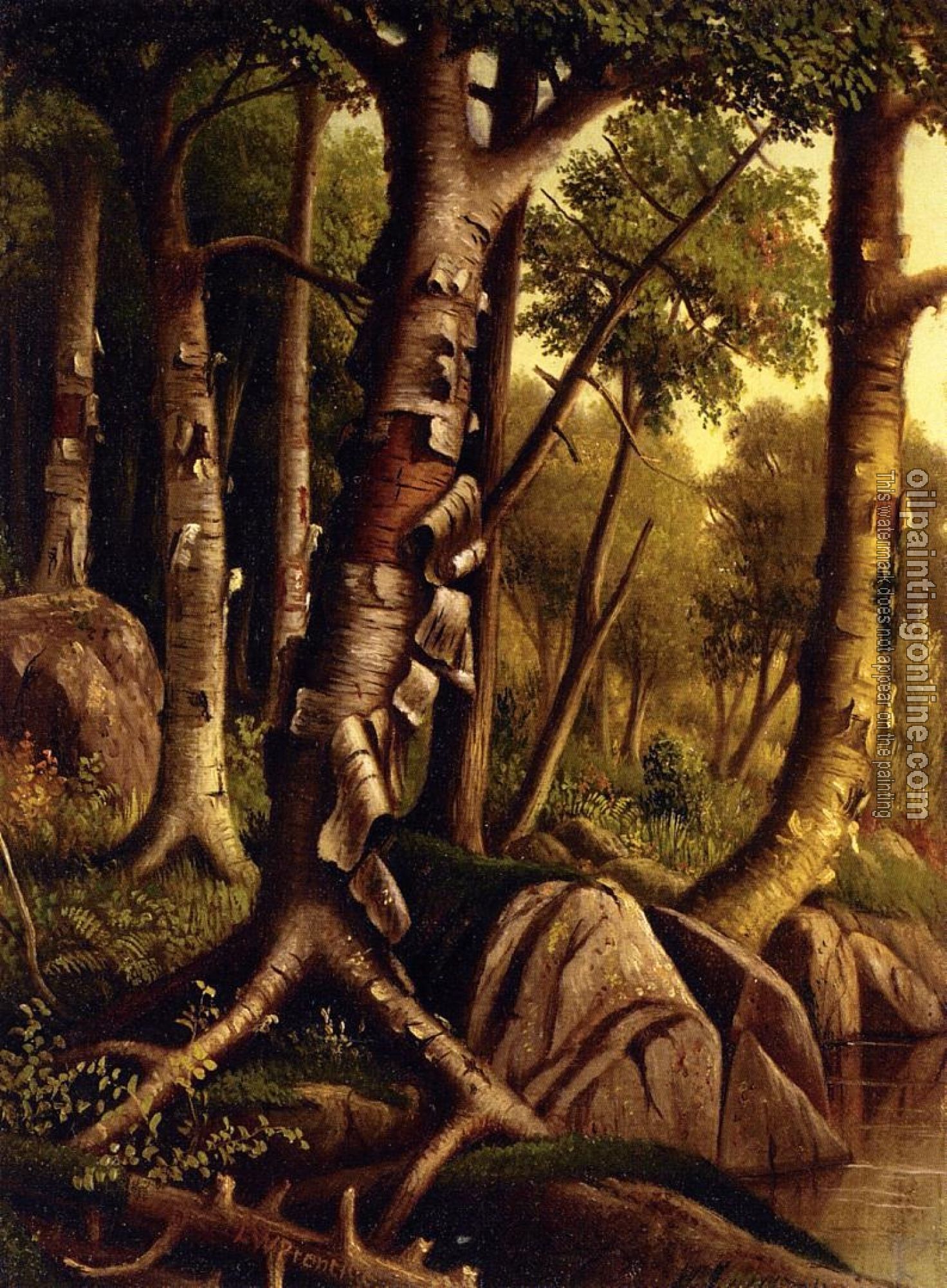 Prentice, Levi Wells - Birch Trees